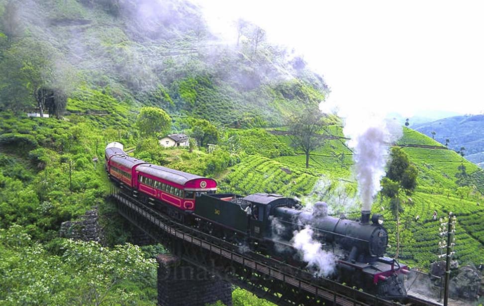 inora-travel-lanka-14-Days-NuwaraEliya