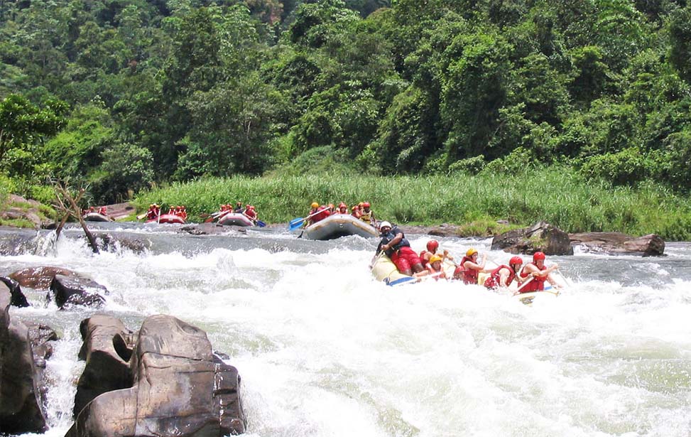 inora-travel-lanka-20-Days-Kithulgala