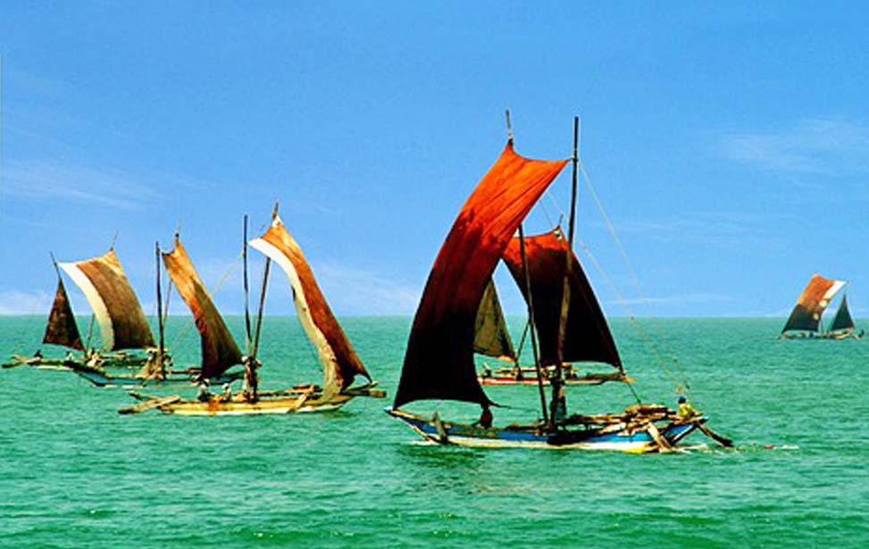 inora-travel-lanka-20-Days-Negombo