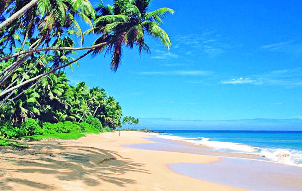 inora-travel-lanka-20-Days-Negombo