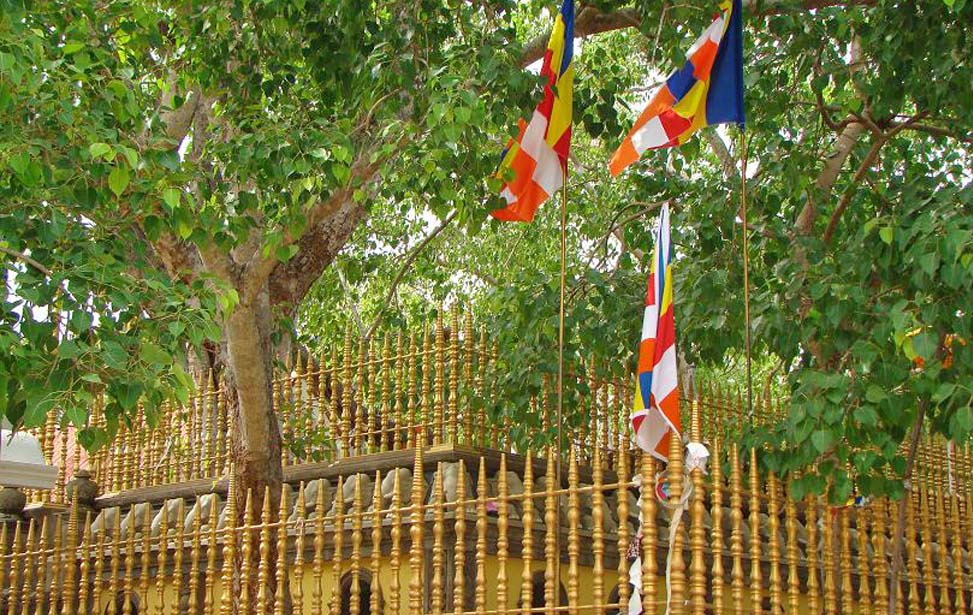 inora-travel-lanka-6-Days-Jayasrimahabodhi