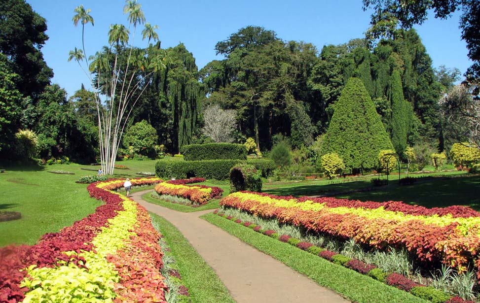 inora-travel-lanka-6-Days-Peradeniya