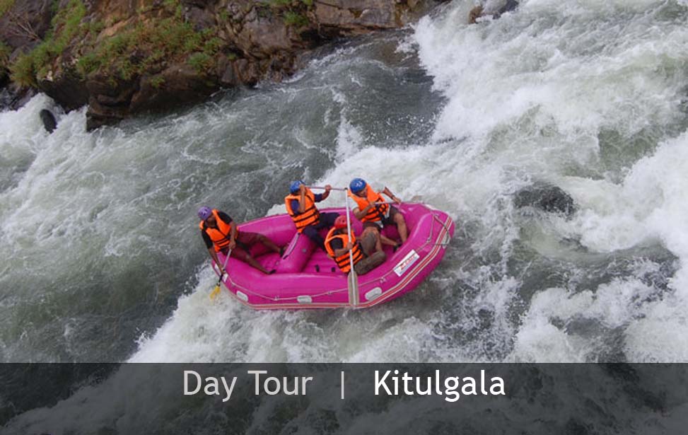 Day Tour - kitulgala