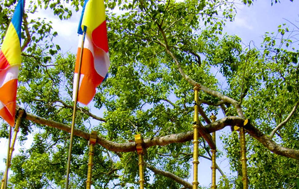 Jaya Sri Maha Bodhiya Inora Tour Sri Lanka