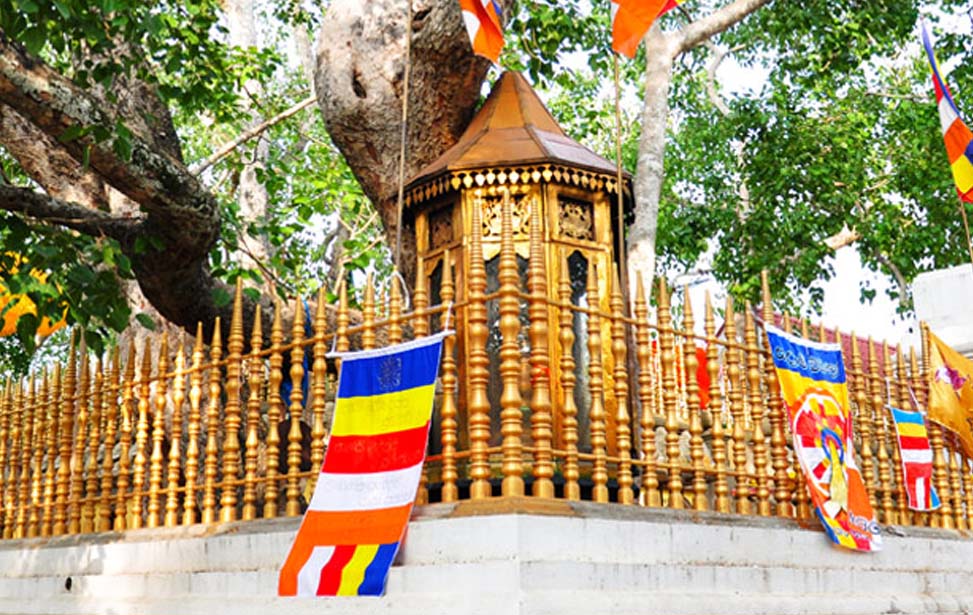 Anuradhapuraya Inora Tour Sri Lanka