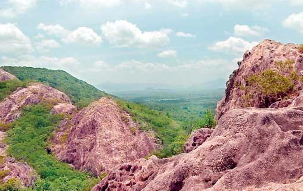 Dambulla Jathika Namal Uyana Inora Tour Sri Lanka