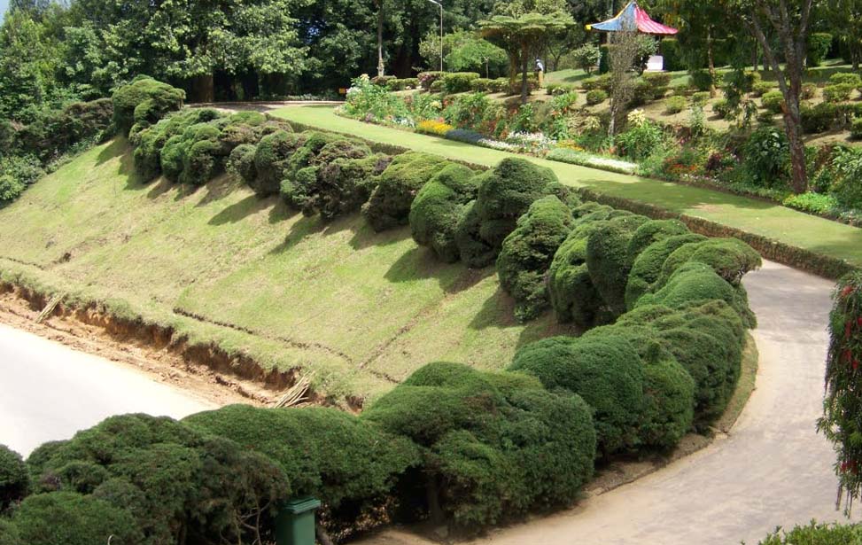 Hakgala Botanical Garden Inora Tour Sri Lanka