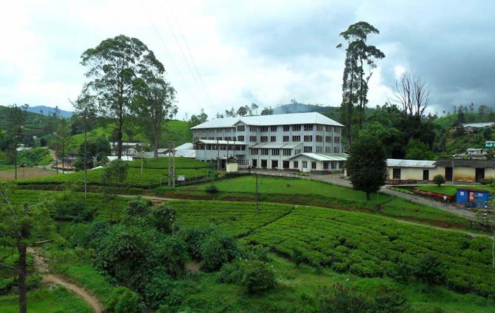 Kandy Ceylon Tea Museum Inora Tour Sri Lanka