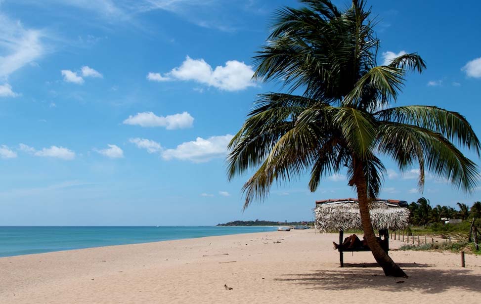 Nilaveli Beach Inora Tour Sri Lanka