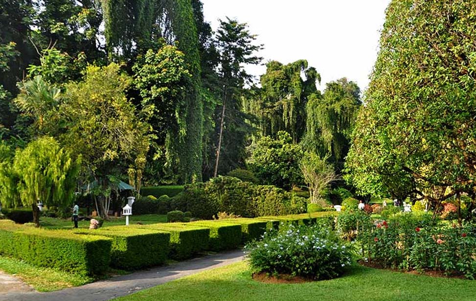 Peradeniya Botanical Garden Inora Tour Sri Lanka