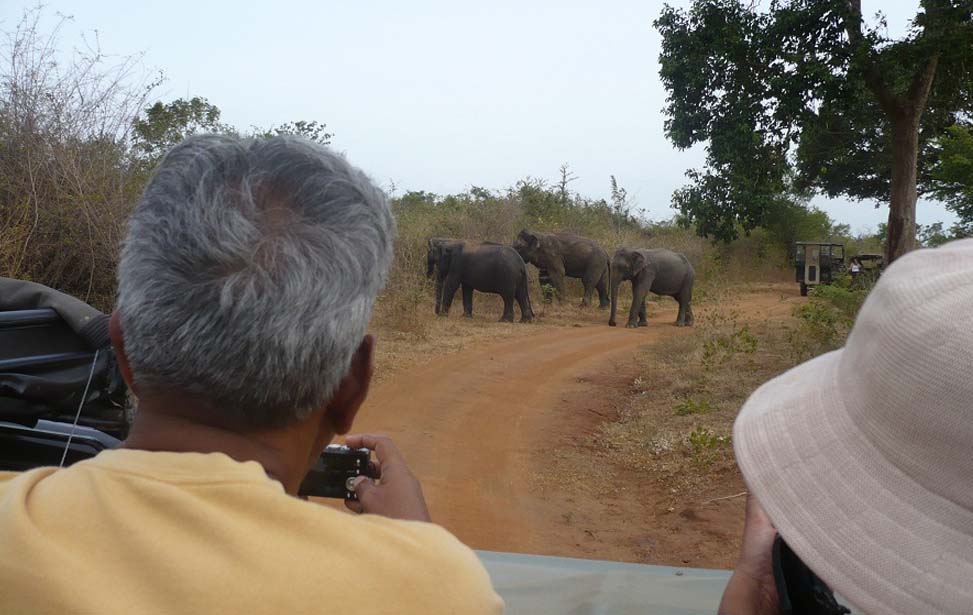 Udawalawe National Park Inora Tour Sri Lanka