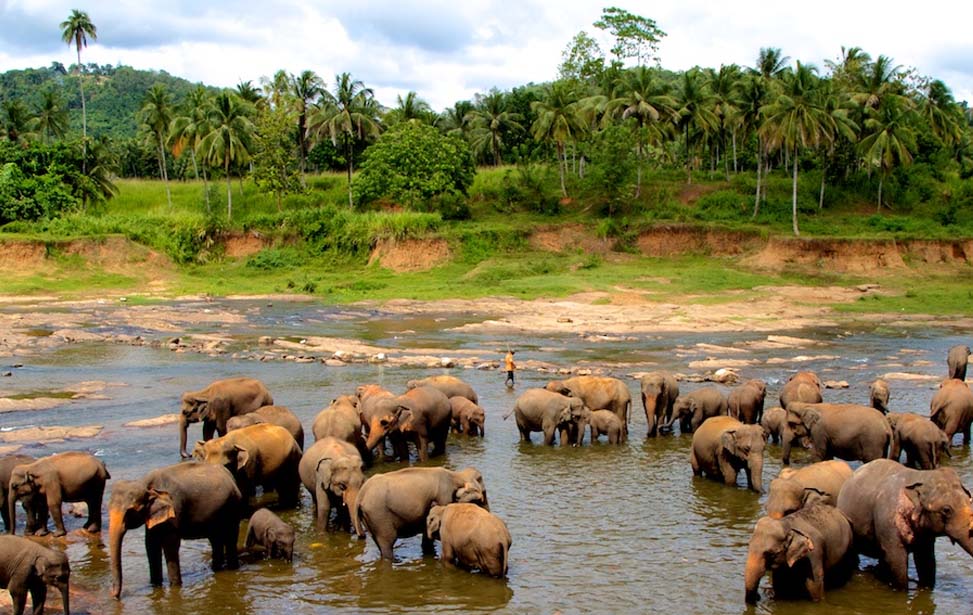 Udawalawe National Park Inora Tour Sri Lanka