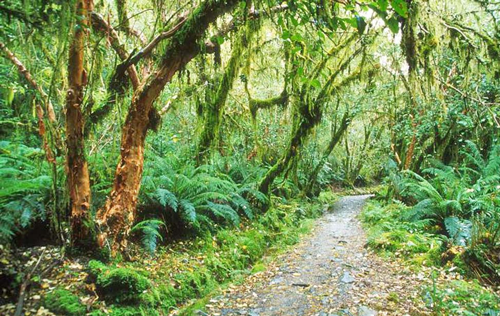 inora-travel-lanka-20-Days-Forest-Trails