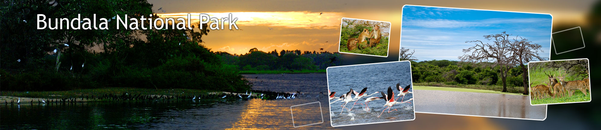 inora-travel-lanka-bundala-banner