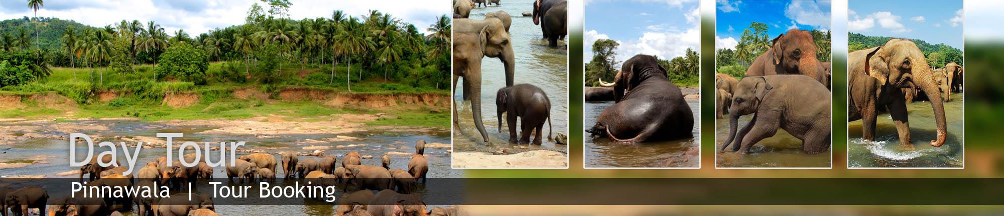 inora-travel-lanka-day-tour-form-banner-pinnawala