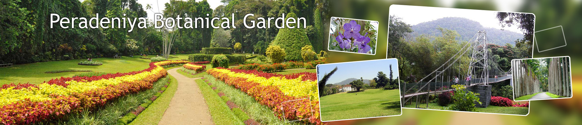 inora-travel-lanka-peradeniya-banner