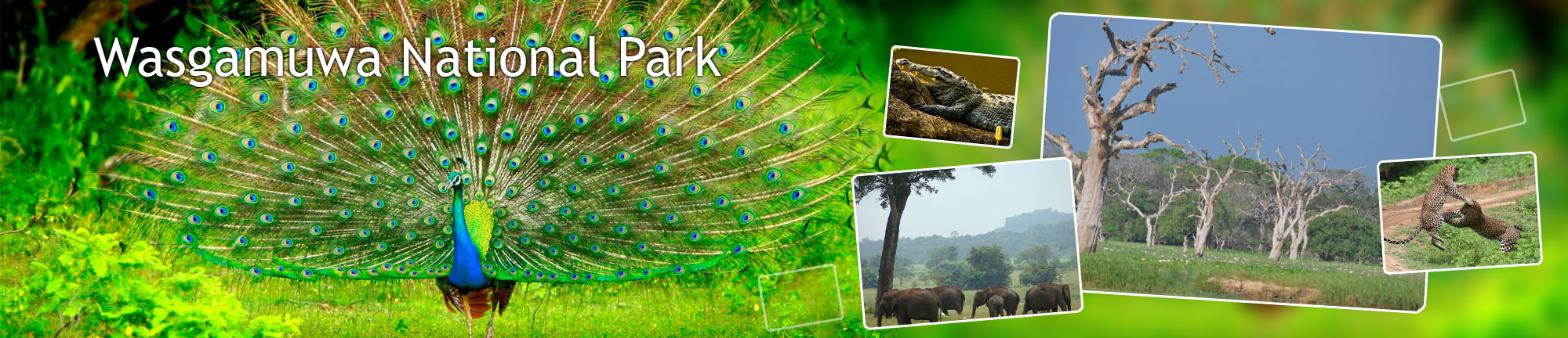 inora-travel-lanka-wasgamuwa-banner
