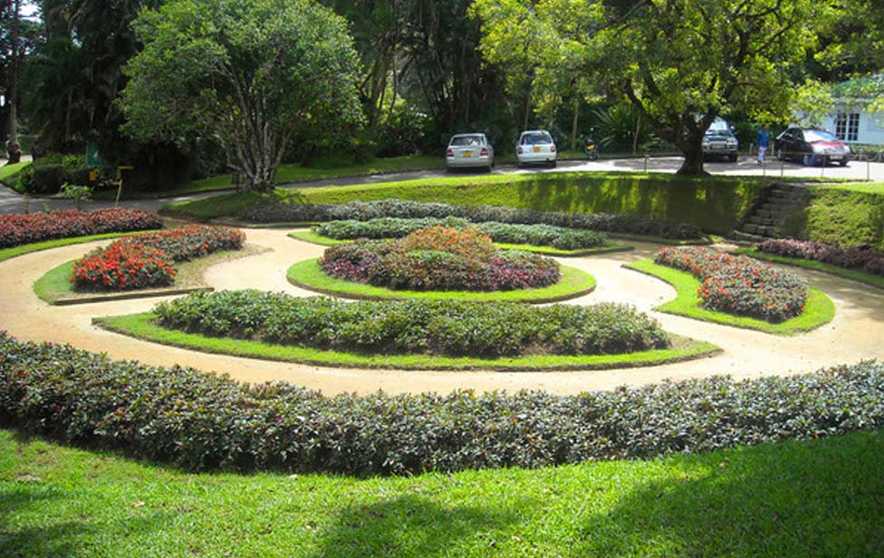 Hakgala Botanical Garden Inora Tour Sri Lanka