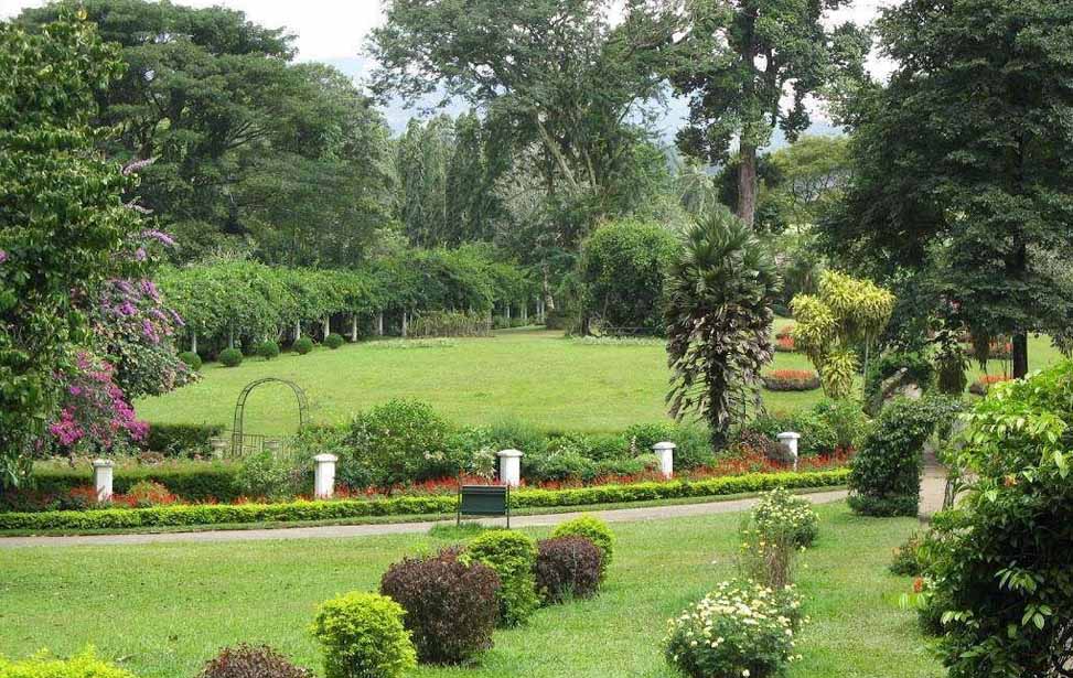 Hakgala Botanical Garden Inora Tour Sri Lanka