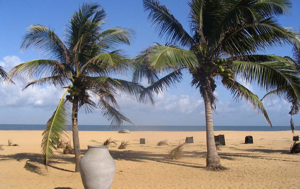 Negombo Beach Inora Tour Sri Lanka