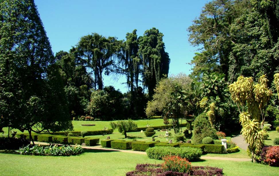 Peradeniya Botanical Garden Inora Tour Sri Lanka