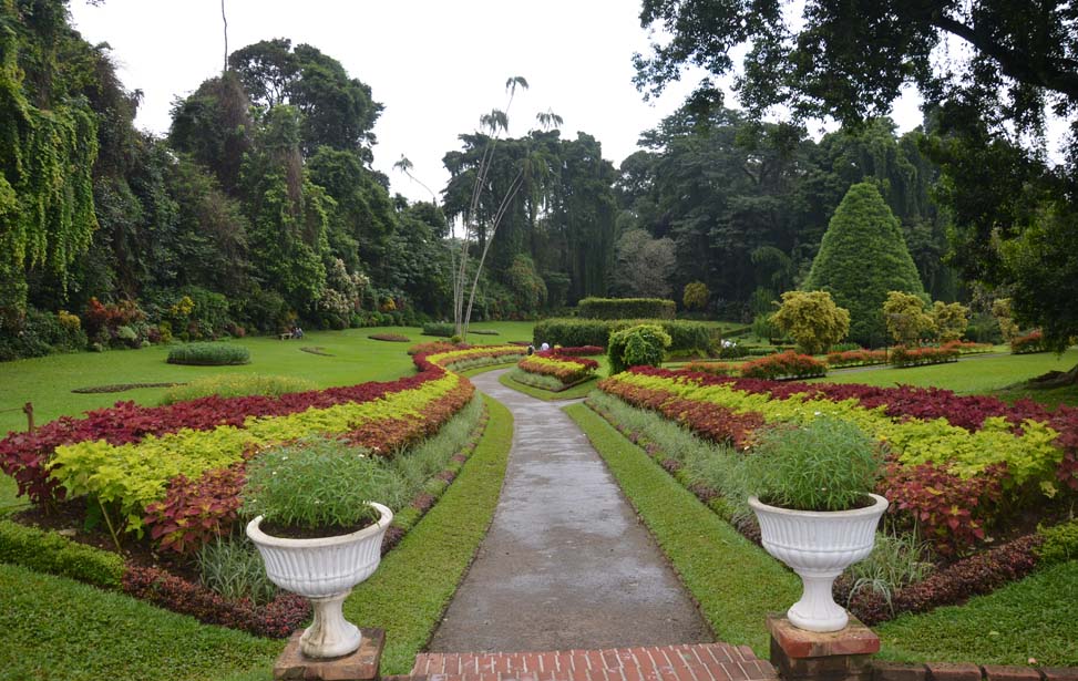 Peradeniya Botanical Garden Inora Tour Sri Lanka