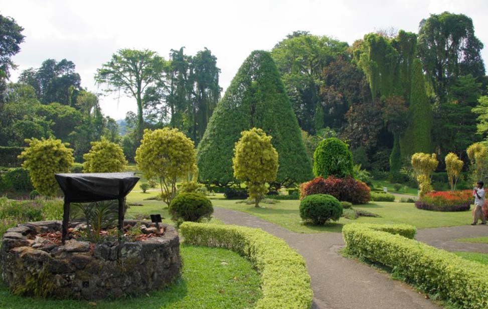 Peradeniya Botanical Garden Inora Tour Sri Lanka