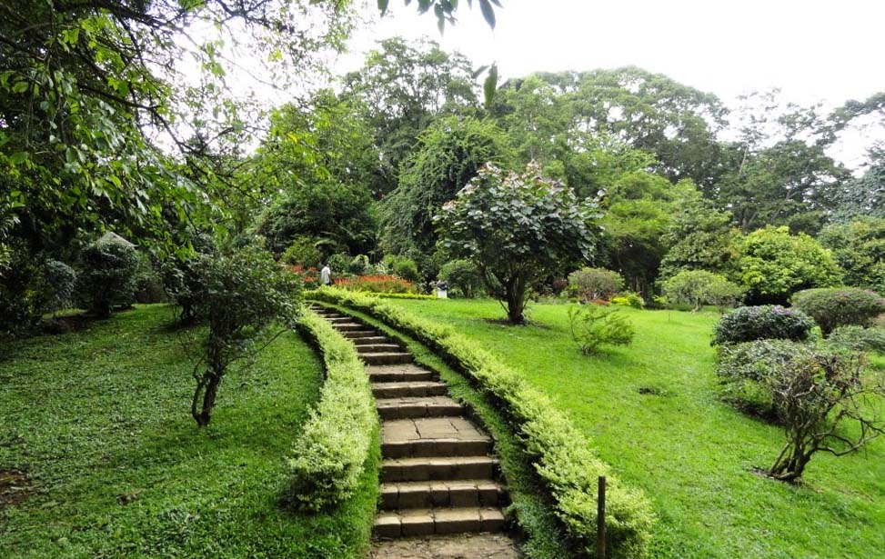 Peradeniya Botanical Garden Inora Tour Sri Lanka