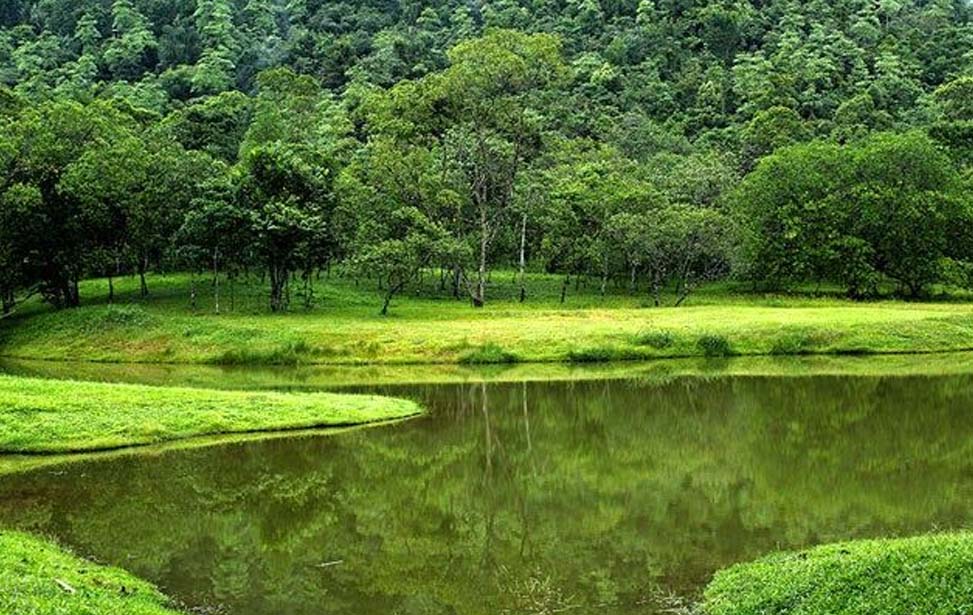 Seethawaka Botanical Graden Inora Tour Sri Lanka