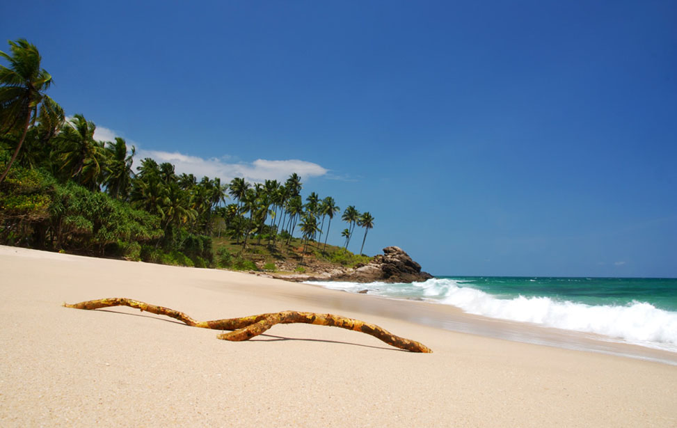 Thangalla Beach Inora Tour Sri Lanka