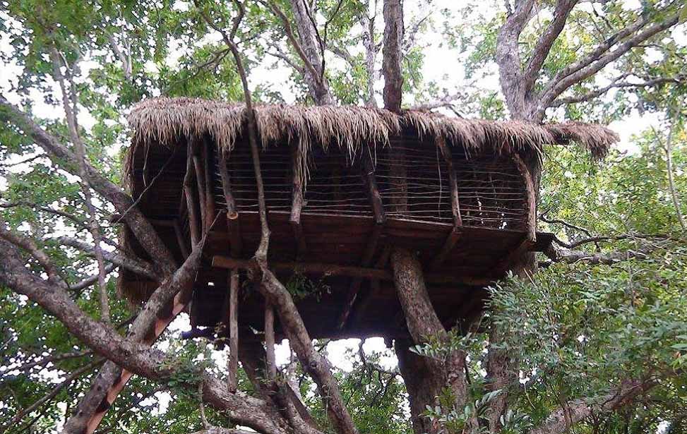 Wasgamuwa National Park Inora Tour Sri Lanka