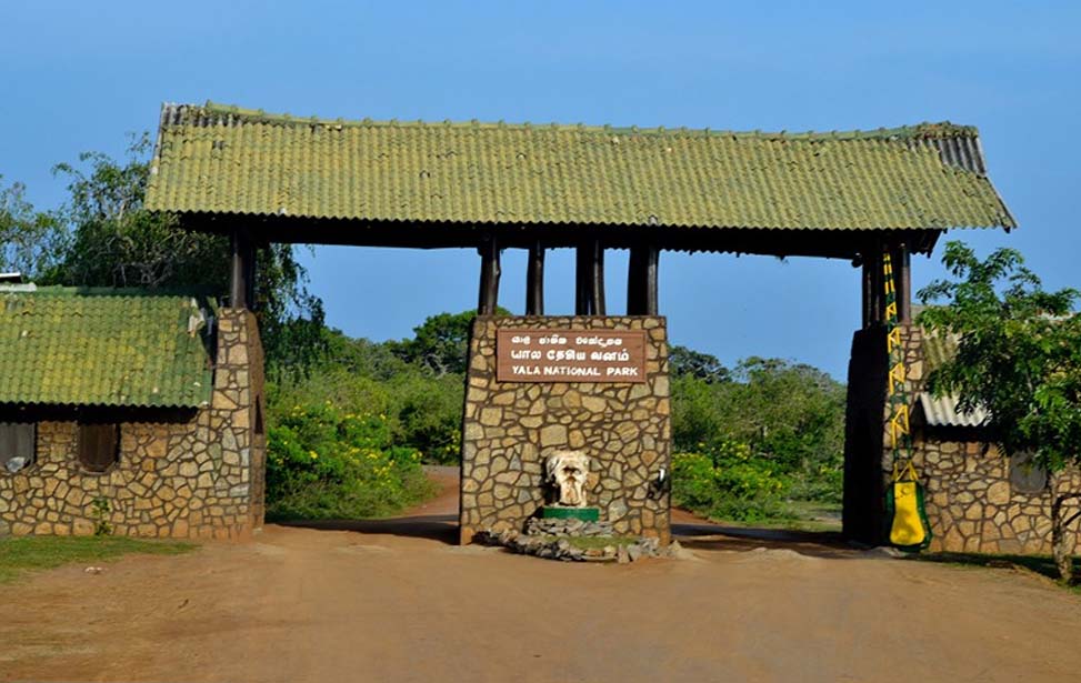 Yala National Park Inora Tour Sri Lanka