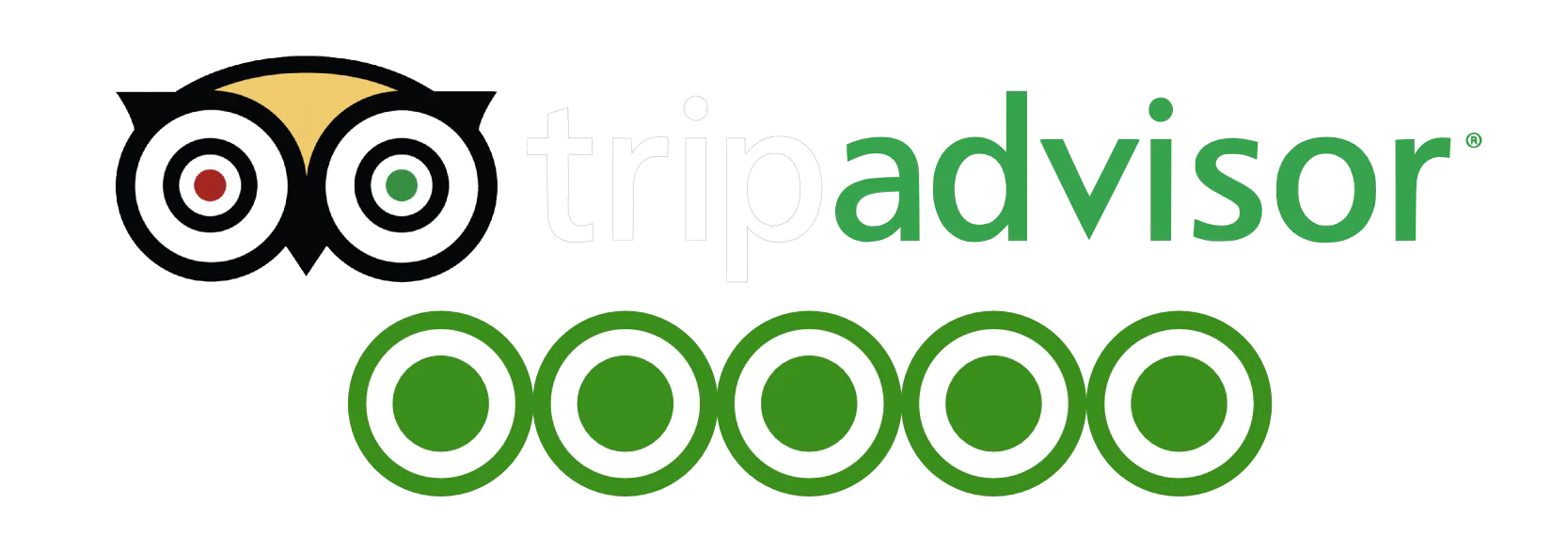 TripAdvisor Reviews